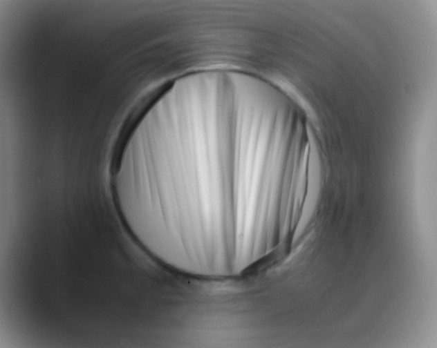 X0000088721189200706282057