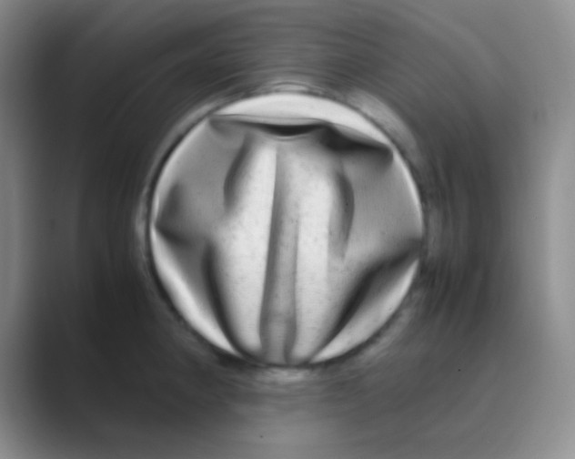 X0000088721190200706282057