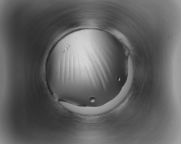 X0000088721192200706282057