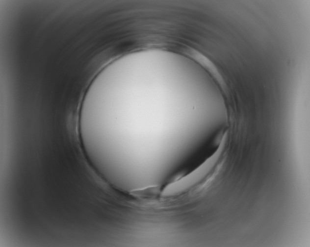 X0000088721194200706282057