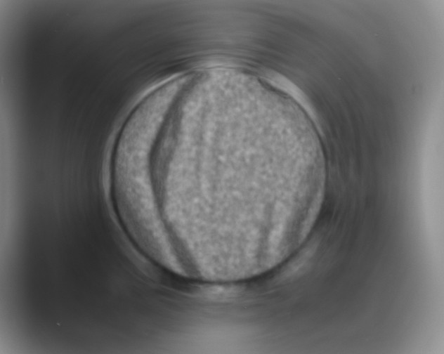 X0000088721195200706282057