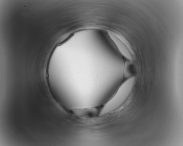 X0000088721197200706282057