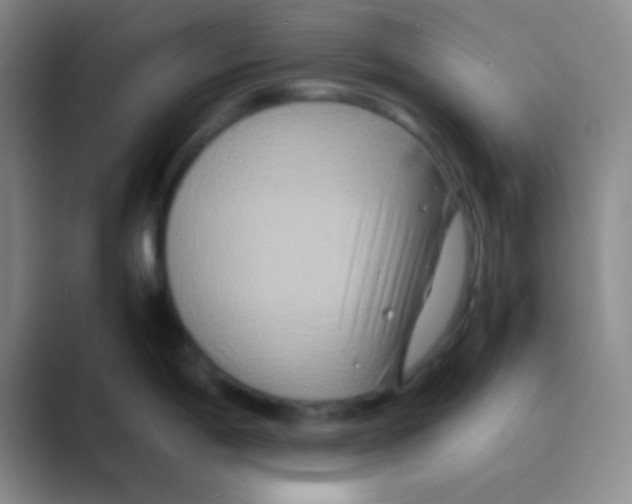 X0000088721198200706282057