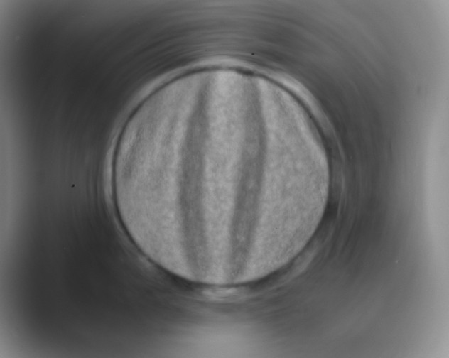 X0000088721199200706282057