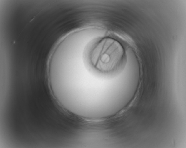 X0000088721200200706282057