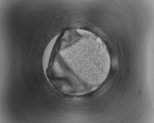 X0000088721204200706282056