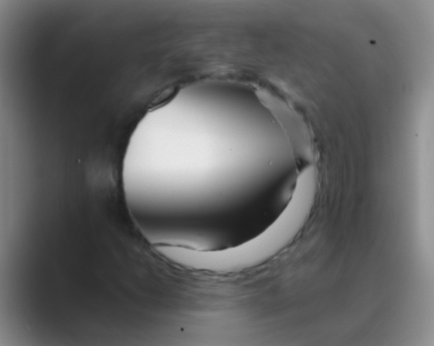 X0000088721206200706282057