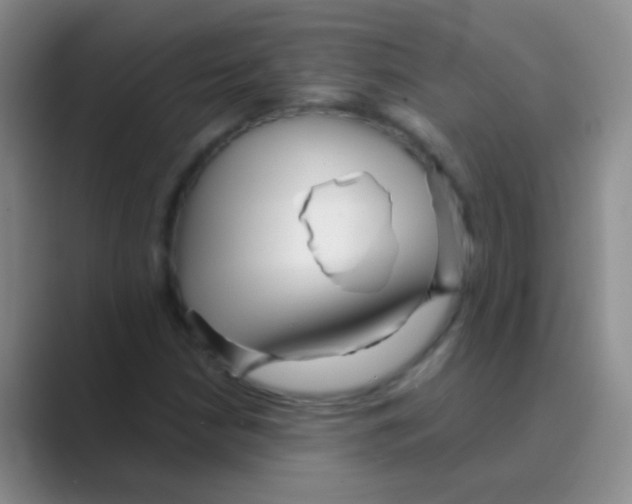 X0000088721210200706282057