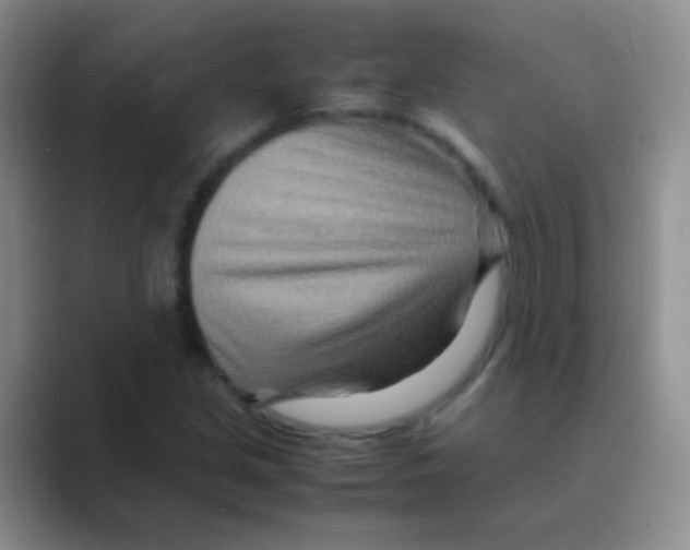 X0000088721213200706282057