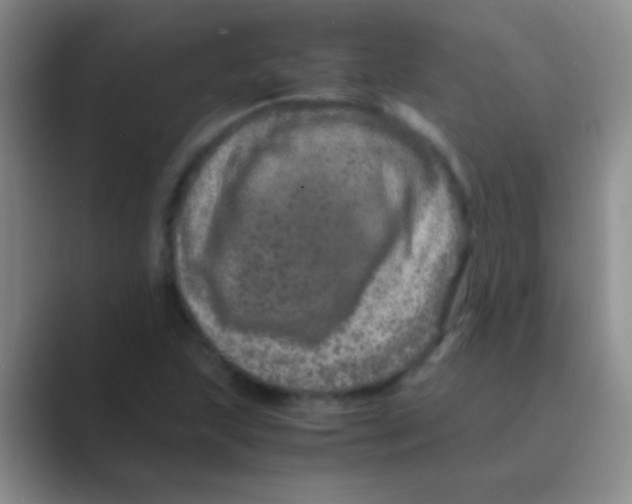 X0000088721215200706282057