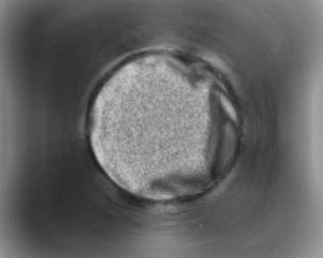 X0000088721216200706282057