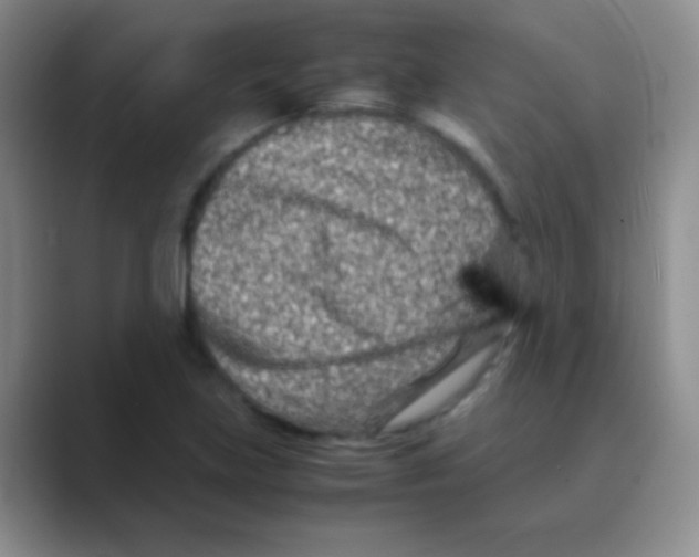 X0000088721219200706282057