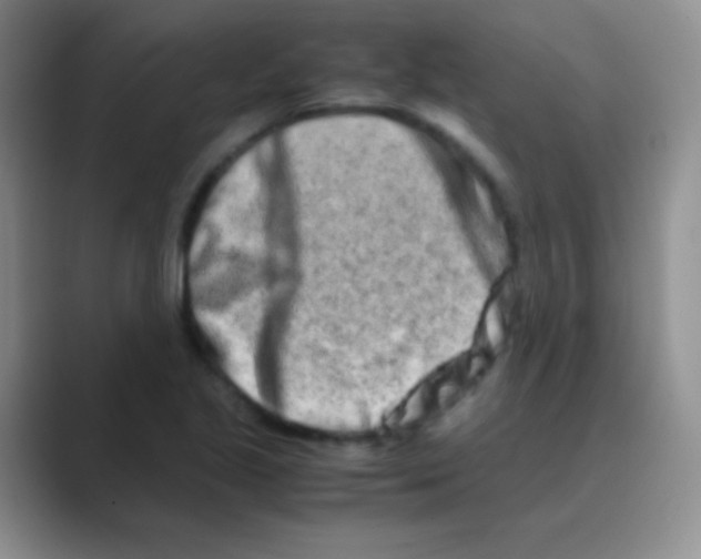 X0000088721221200706282057