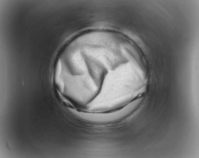 X0000088721224200706282057