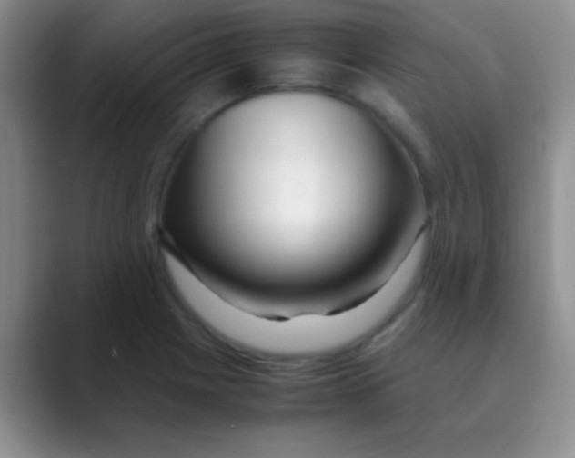 X0000088721225200706282057