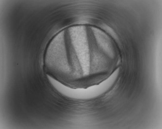 X0000088721226200706282057