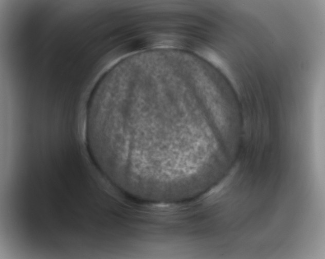 X0000088721227200706282057