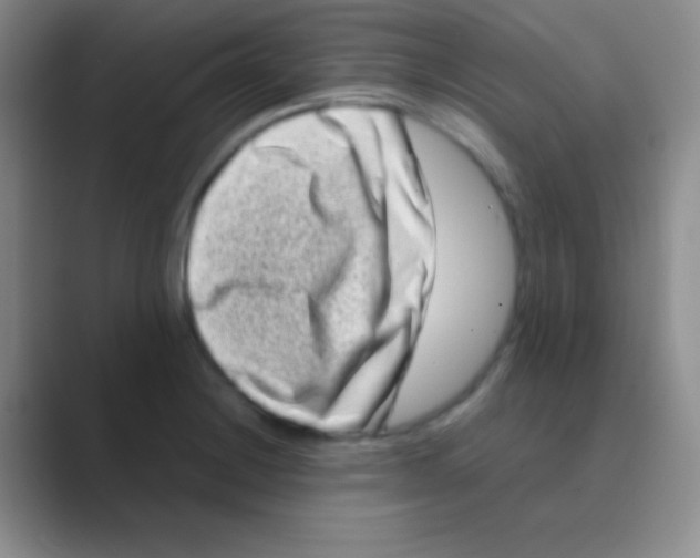 X0000088721228200706282057