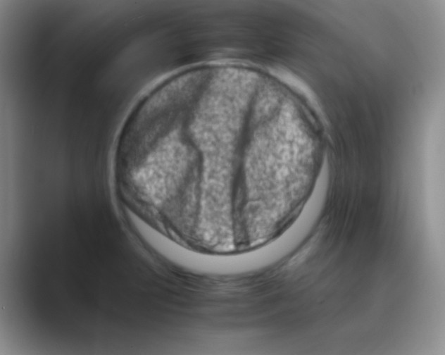 X0000088721231200706282057