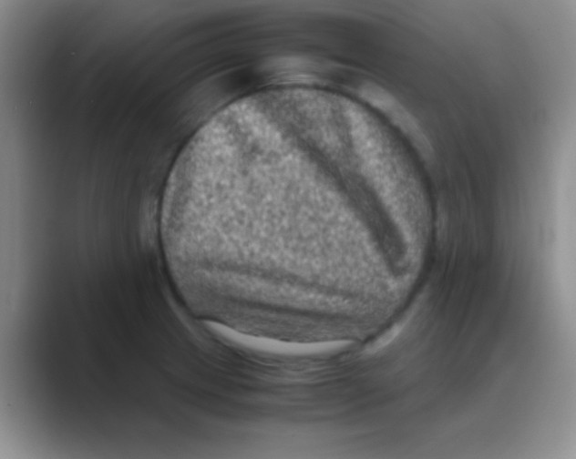 X0000088721233200706282057