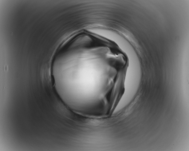 X0000088721234200706282057