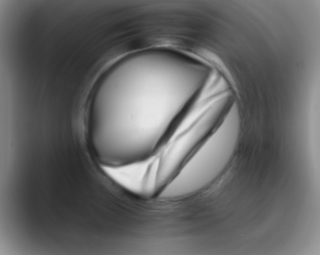 X0000088721235200706282057