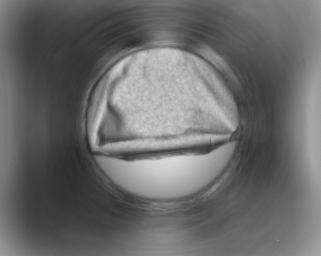 X0000088721236200706282057