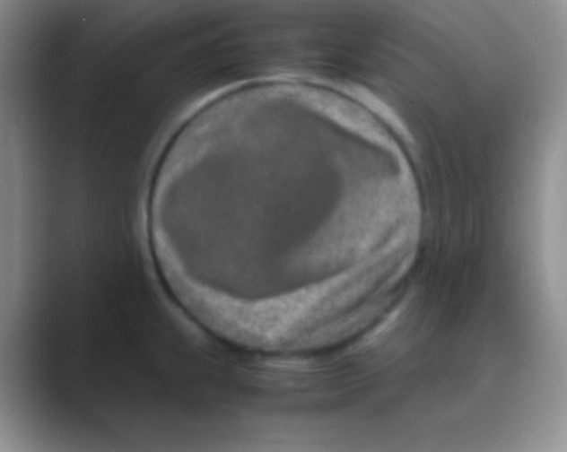 X0000088721239200706282057