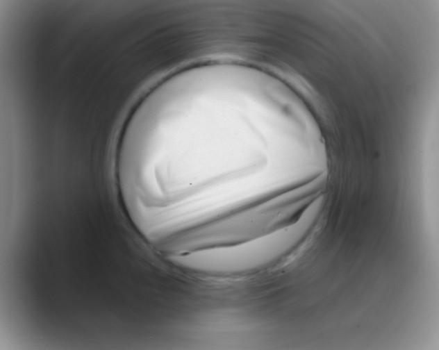 X0000088721240200706282057