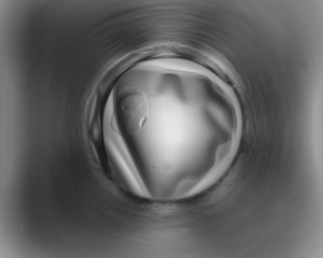 X0000088721242200706282057