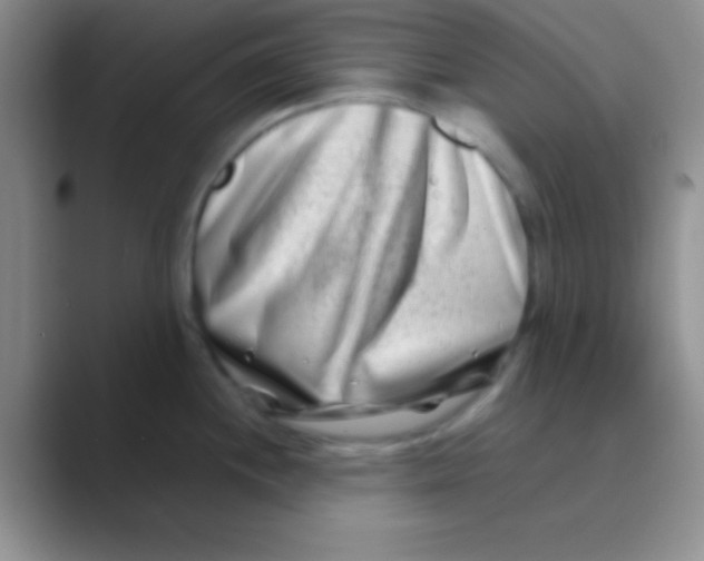 X0000088721244200706282057