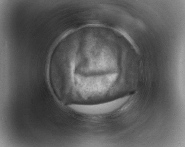 X0000088721245200706282057