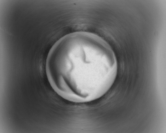 X0000088721250200706282056