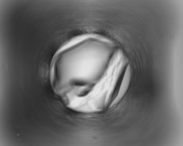 X0000088721251200706282056