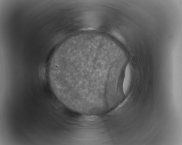 X0000088721258200706282056