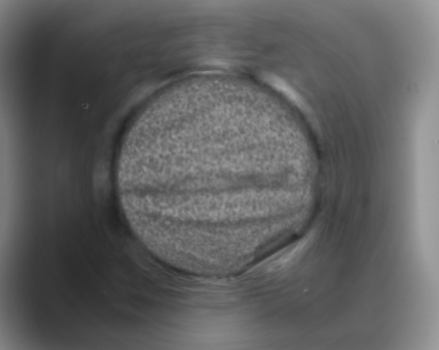 X0000088721259200706282056