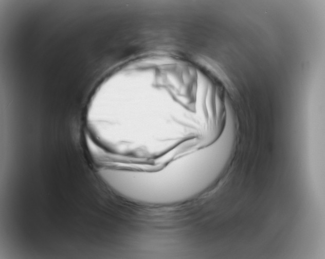 X0000088721260200706282056