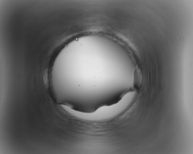 X0000088721262200706282056