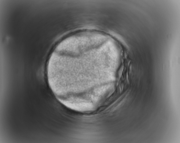 X0000088721264200706282056