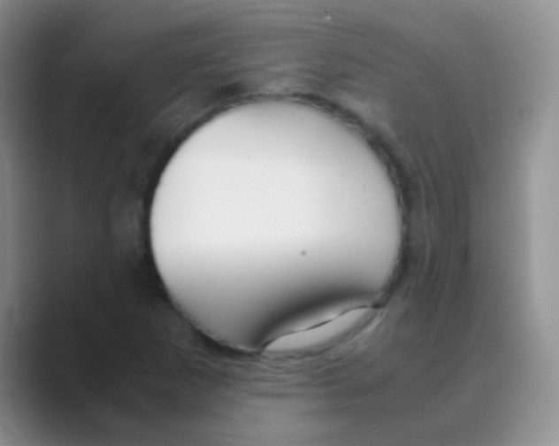 X0000088721265200706282056