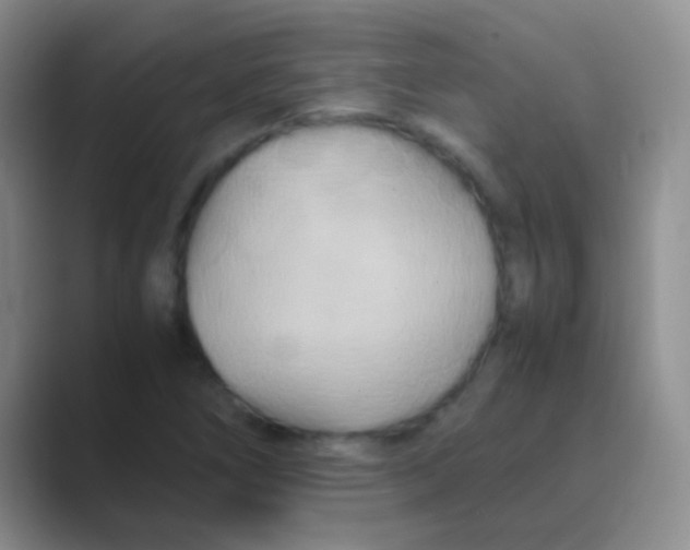 X0000088721266200706282056