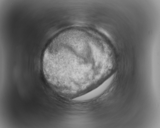 X0000088721267200706282056