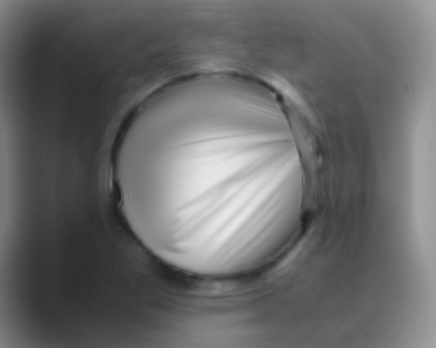 X0000088721269200706282056