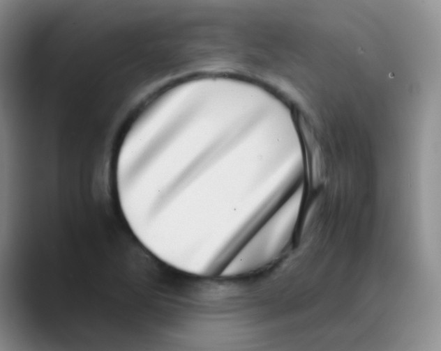 X0000088721270200706282056