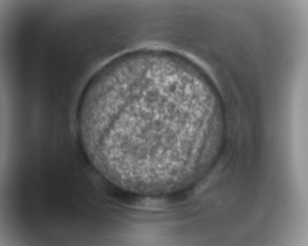 X0000088721271200706282056