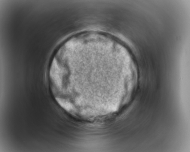 X0000088721272200706282056