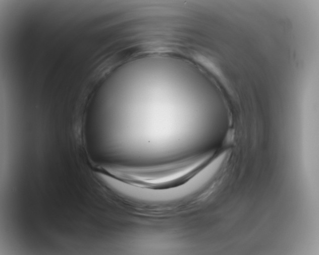 X0000088721273200706282056