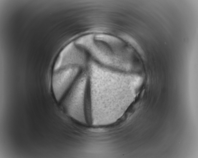 X0000088721276200706282056