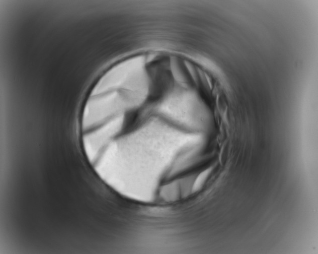 X0000088721280200706282056