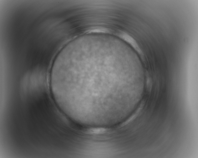 X0000088721282200706282056